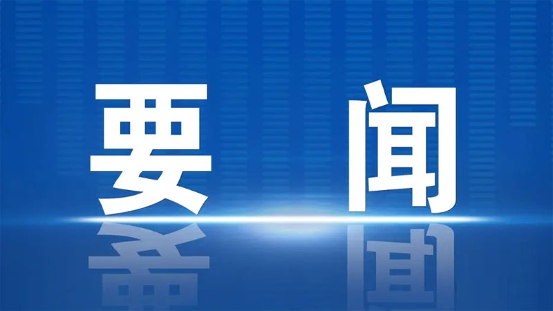 中共中央国务院关于促进民营经济发展壮大的意见